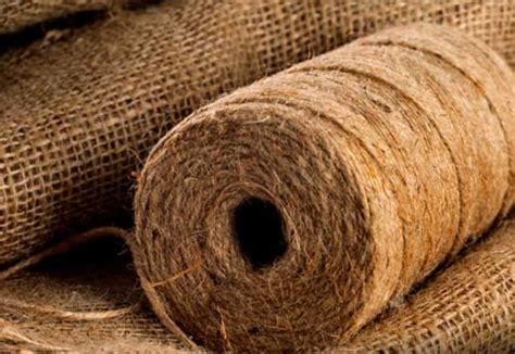  Jute Fiber: A Sustainable Solution for Packaging and Textile Applications?