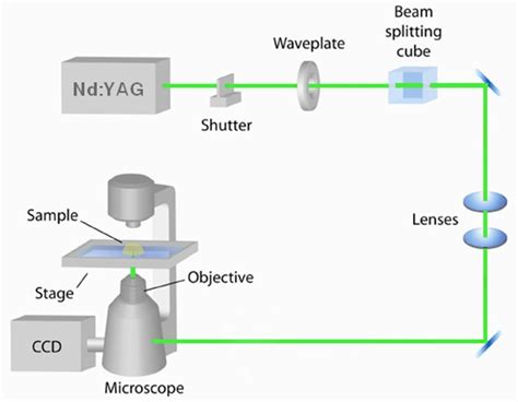  Yttrium Aluminum Garnet: Revolutionizing Lasers and Optical Amplifiers!