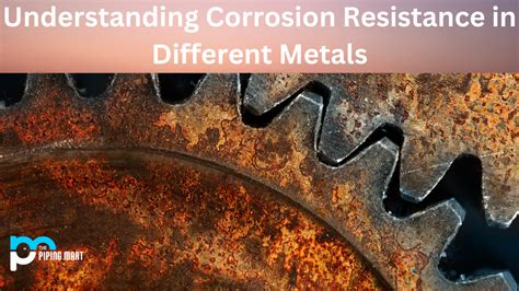 Hypalon: Understanding Its Superior Corrosion Resistance and Excellent Chemical Stability for Demanding Applications!