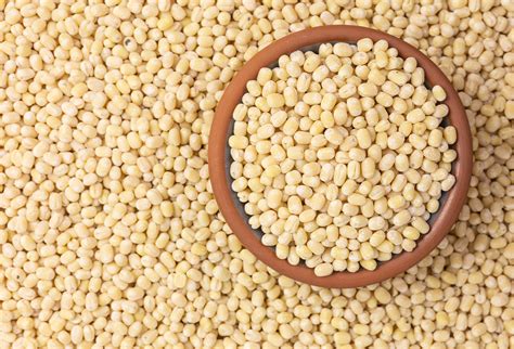  Unveiling Understanding: Urad Dal as a Versatile Textile Raw Material!