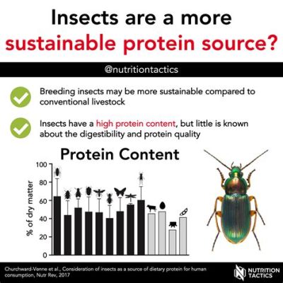 Vetches: Exploring Their Potential as a Sustainable Protein Source for Animal Feed!